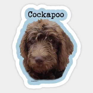 Cockapoo Dog Sticker